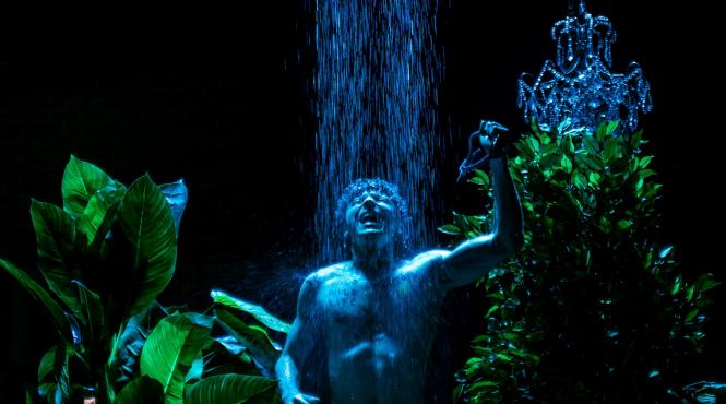 balerinele acvatice premiera metropolis