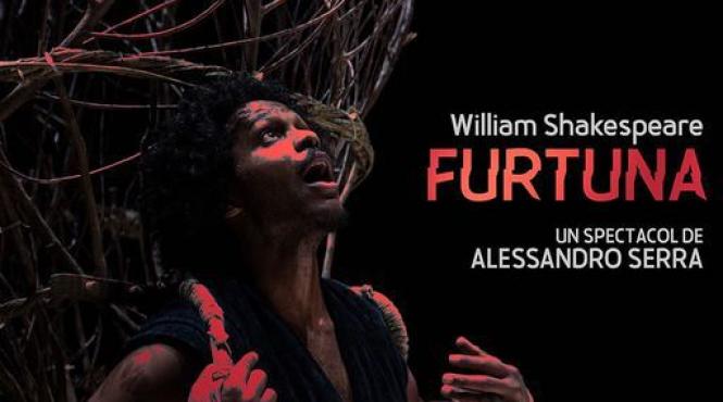 spectacole de muzica teatru film si design la institutul italian de cultura bucuresti