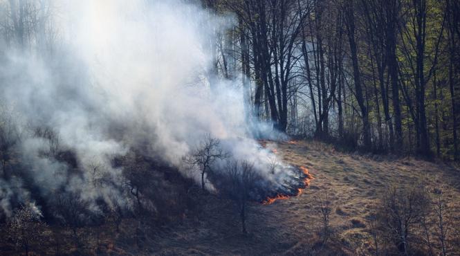 alberta stare urgenta incendii vegetatie