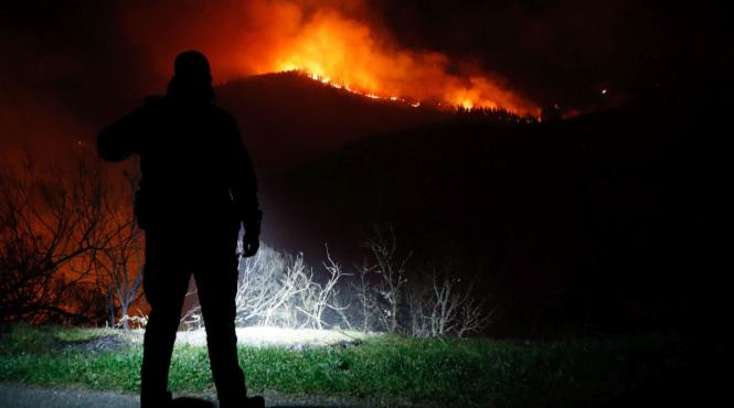 incendii paduri seceta