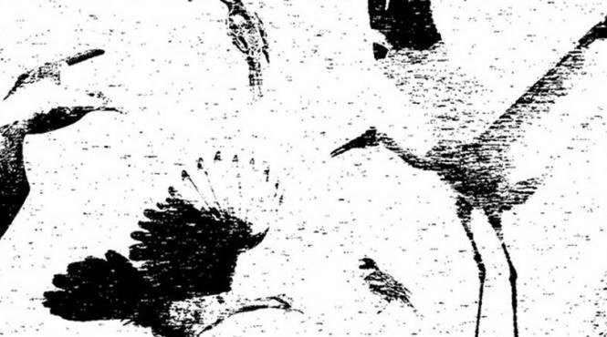 teatrelli sergiu matis extinction room hopeless