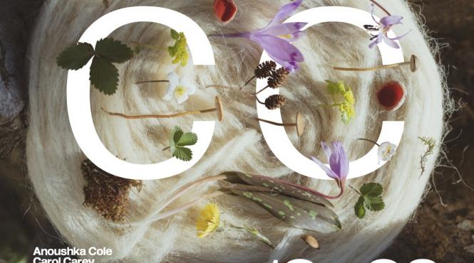 circular catalysts british council romania romanian design week