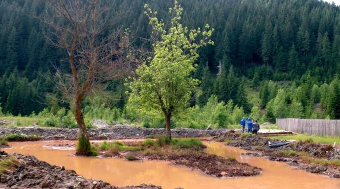 poluare terenuri contaminate rapoarte anpm ecologizare