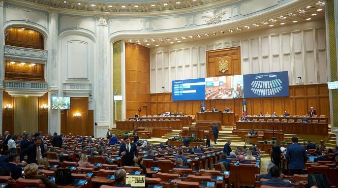 femeie parlament droguri