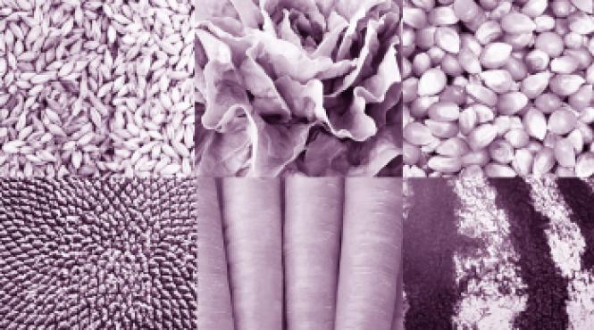 bienala arhitectura venetia acum aici acolo