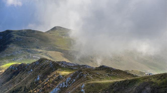 cod galben ceata sibiu brasov