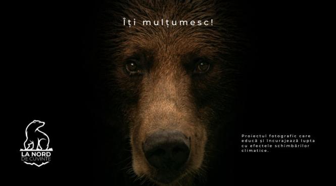 rares besliu fotograf polul nord svalbard