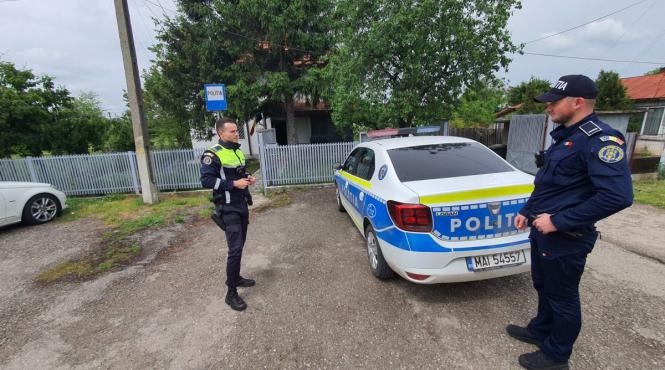 politist tara detectivi paranghelii