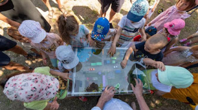 tiff education educatie cinematografica copii