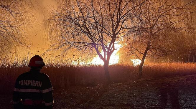 stare urgenta incendiu vegetatie orasul halifax