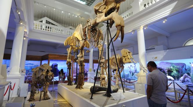 ateliere si jocuri pentru copii de 1 iunie la muzeul antipa