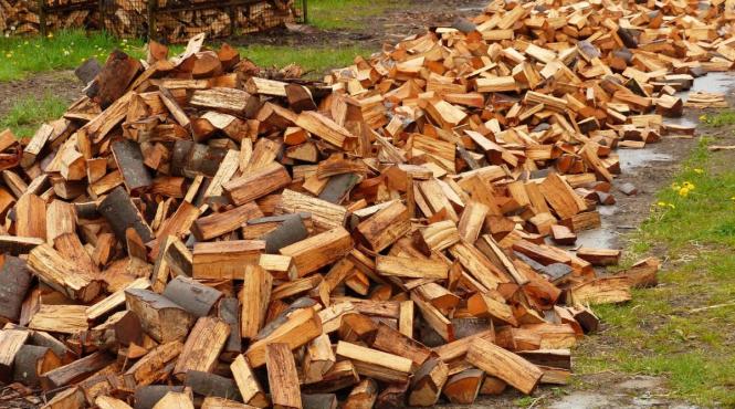 pret lemn crestere romania risc activitati taieri ilegale