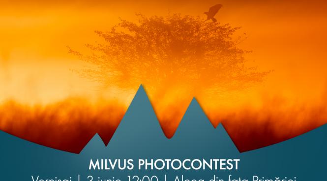 lynx fesival romanesc film documentar