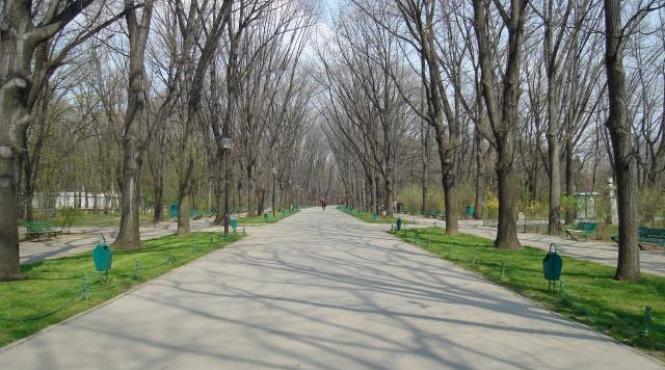 masinile interzise parcul herastrau aleile intrare soseaua nordului