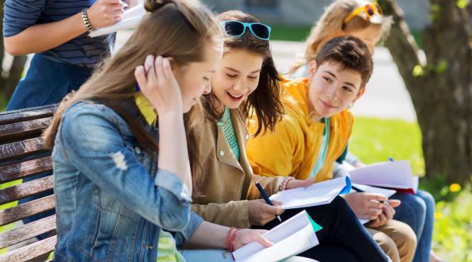 ministerul educatiei calendar examen certificare absolventi invatamant liceal filiera vocationala