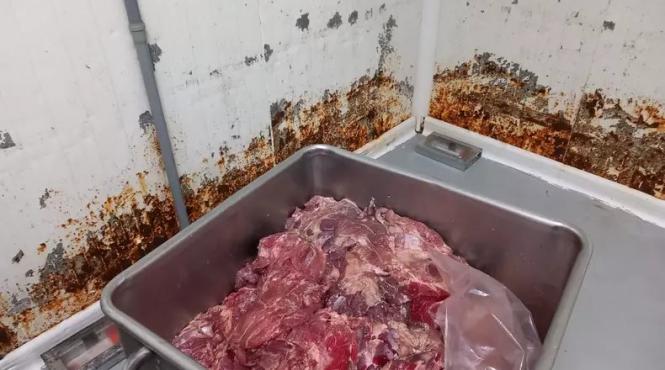 fabrica mezeluri ilfov inchisa anpc conditii insalubre procesare carne