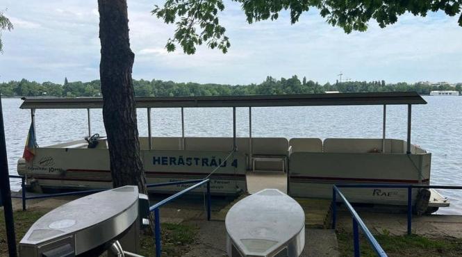 nicusor dan herastrau vaporas