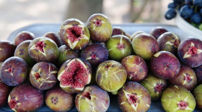 smochine fructe arbore sfant acizi grasi