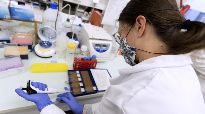 plan national cancer grup interese big pharma