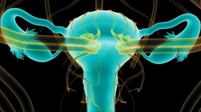 record infectii boli transmitere sexuala marea britanie cele mai multe cauzuri gonoree sifilis ultimii 100 ani