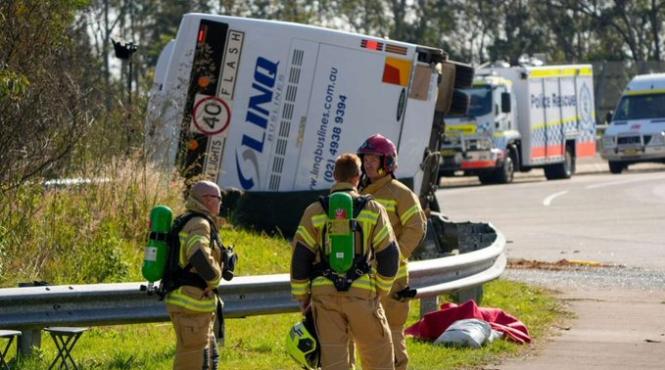 tragic accident autobuz invitati nunta morti