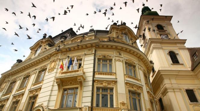 primaria sibiu tamplarie exterioara firma afaceri stat contract