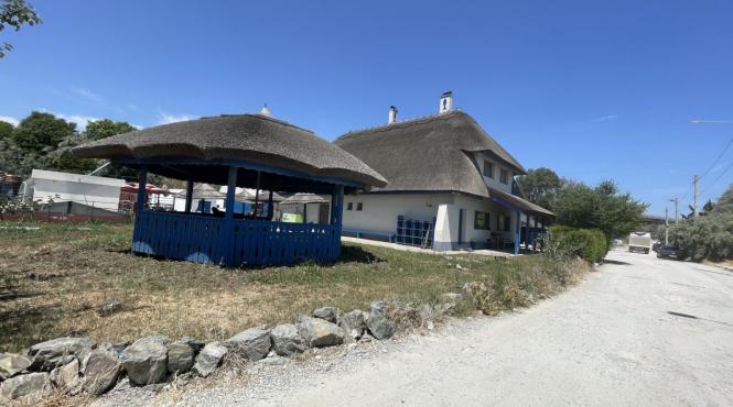 turism gastronomic industrie comercializare peste