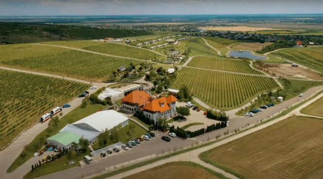 cum sa ti organizezi un team building inedit intr o locatie neprevazuta