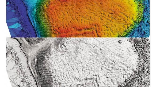 evenimente organizate de muzeul municipiului bucuresti