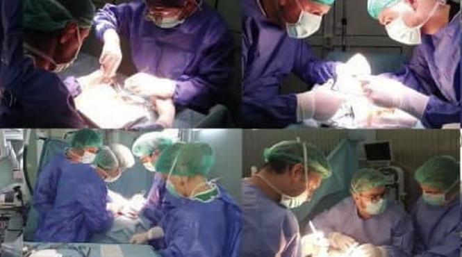 transplant copil sansa