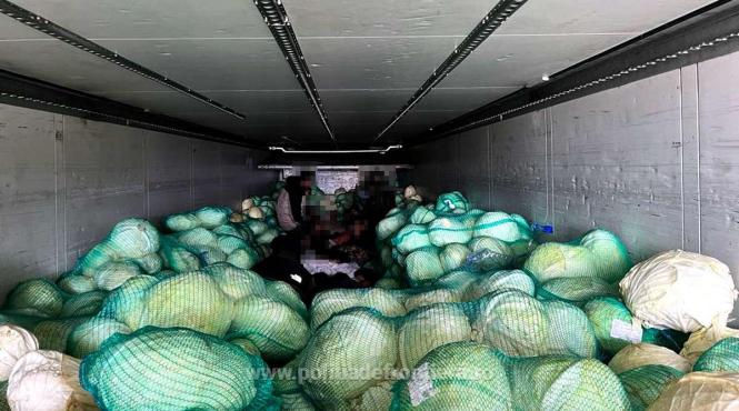 frontiera giurgiu 28 cetateni sirieni descoperiti camion varza