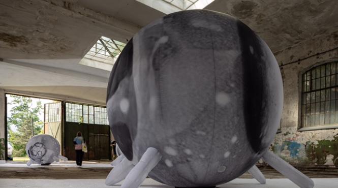 art encounters 2023 sase personalitati timisoara