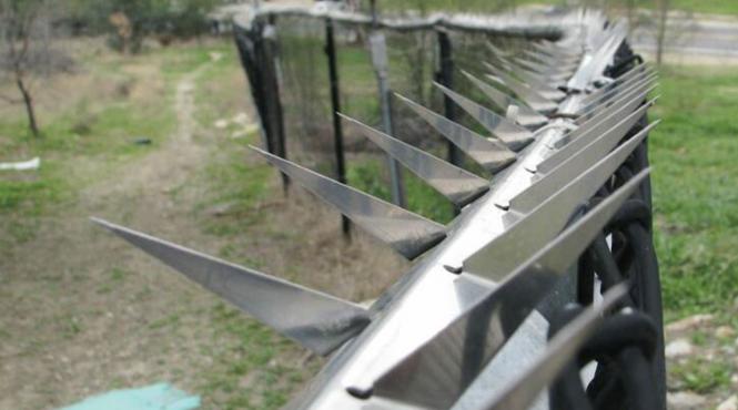 razboi inchisoare femei 41 detinute murit