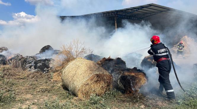 ard baloti lucerna tulcea