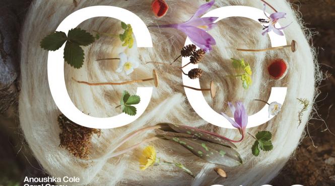 expozitia circular catalysts organizata de british council si institutul cultural roman inaugureaza centrul multicultural hei din timisoara