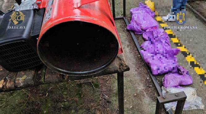 cannabis compresor colet timis