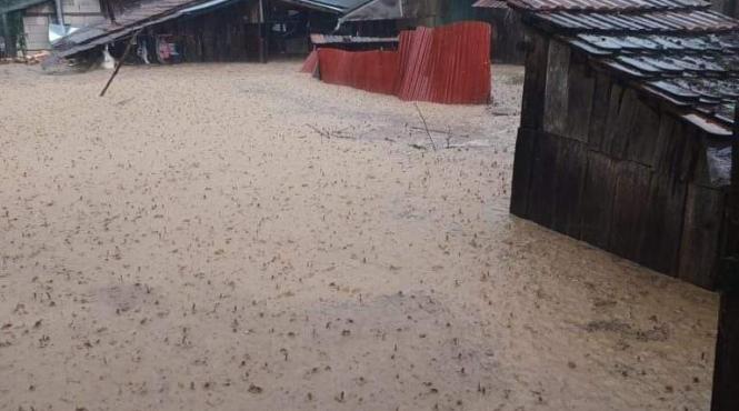 barbat ucis viitura arad cadavru purtat ape