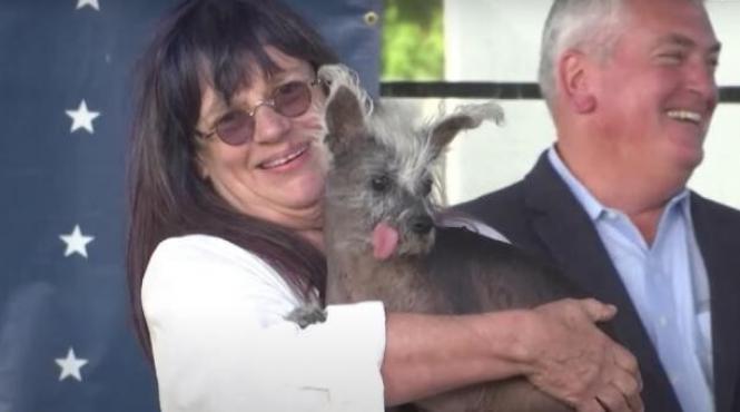 povestea incredibila cel mai urat caine lume cum arata scooter