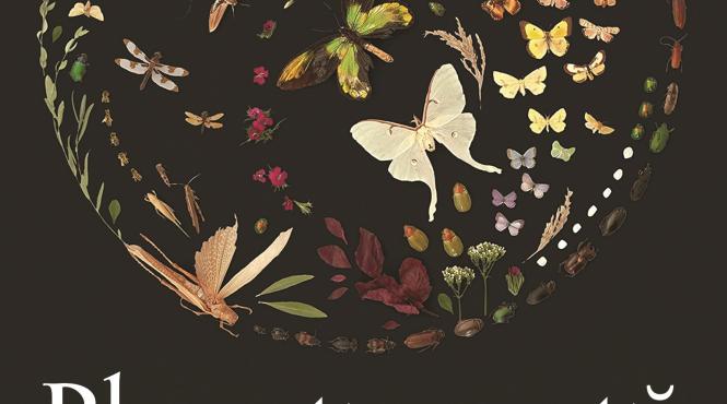 planeta muta insecte degradare viata terra