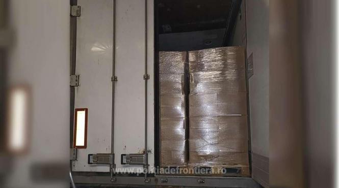 tigari captura negru voda