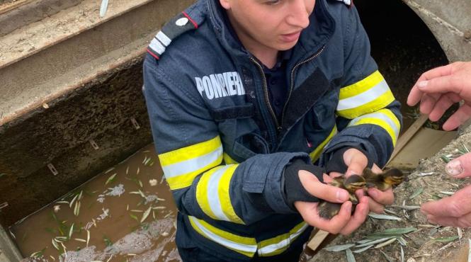 boboci canalizare pompieri alba iulia