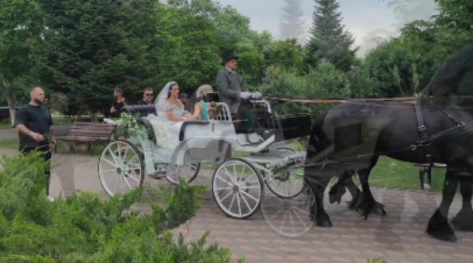 catalina ponor nunta mireasa caleasca bogdan jianu