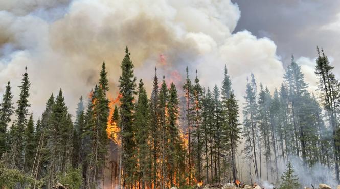 incendii forestiere record dezastru canada