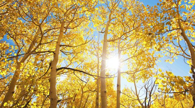 prognoza meteo temperaturi