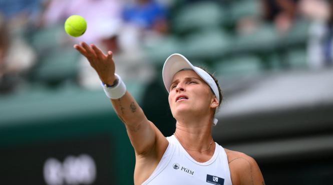 victorie surpriza wimbledon cine castiga turneu grand slam