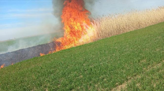 incendiu barbat mort