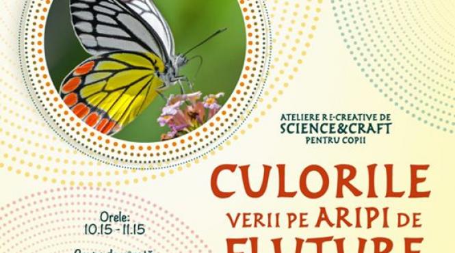 atelierul culorile verii pe aripi de fluture la muzeul national de istorie naturala grigore antipa