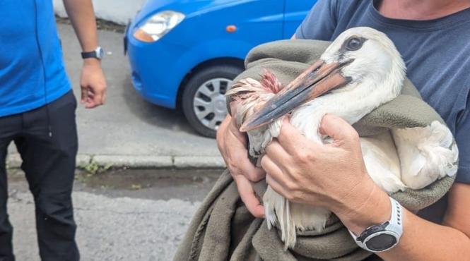 barza pompieri paratrasnet