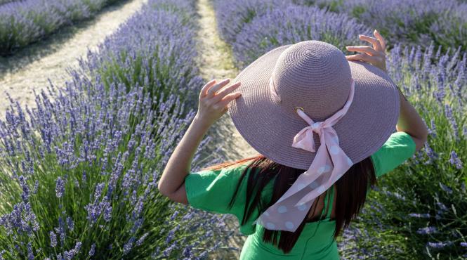 horoscop zilnic 24 iulie 2023 soarele leu