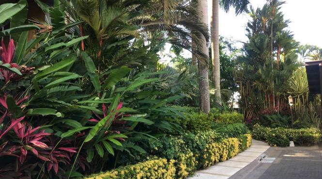 costa rica aeroportul otopeni business class